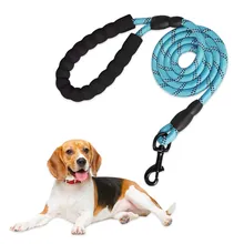 Dog Collars & Leads