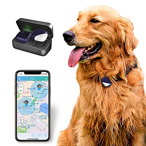 Pet GPS Trackers