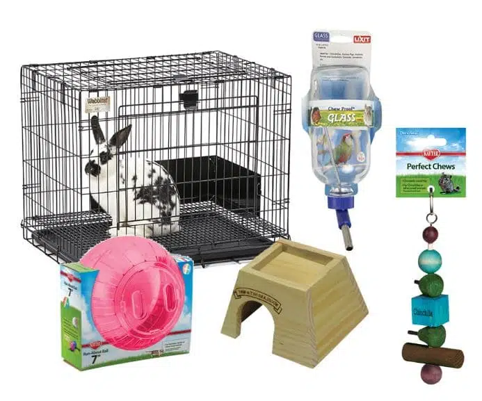 Small Pet Supplies